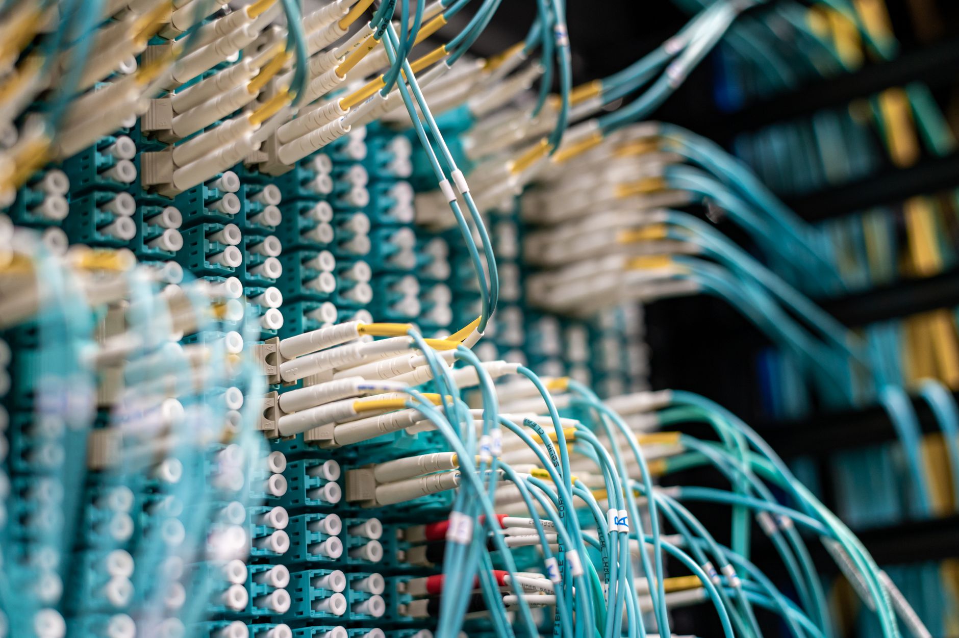 Niebieskie kable sieciowe podłączone do białych złączy w serwerowni Niebieskie kable sieciowe podłączone do białych złączy w serwerowni